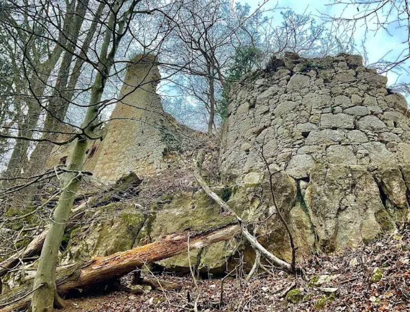Burgruine Neu Wildon, Wildon, Austria, Austria